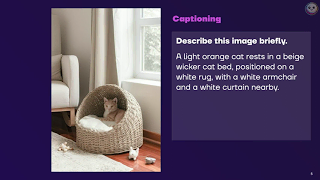 Moondream: how does a tiny vision model slap so hard? — Vikhyat Korrapati