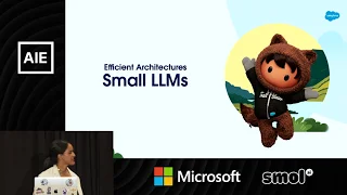 A Practical Guide to Efficient AI: Shelby Heinecke